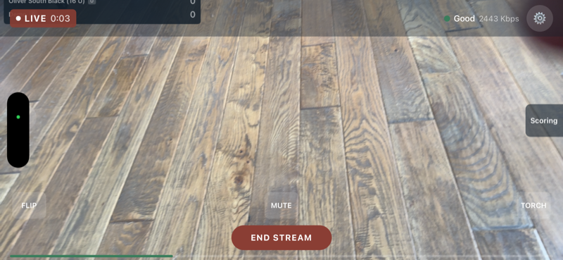 Streaming screen with LIVE badge, duration timer, bitrate, and health indicator